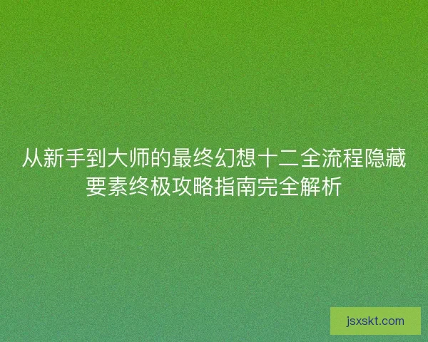 从新手到大师的最终幻想十二全流程隐藏要素终极攻略指南完全解析